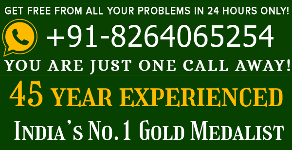 Astrologer Sultan Ali   Ji